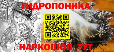 спайс Берёзовский