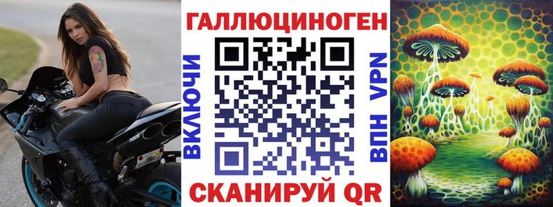 Галлюциногенные грибы Psilocybe Великий Новгород