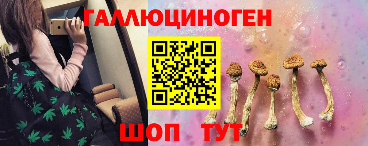 Псилоцибиновые грибы MAGIC MUSHROOMS  Вход с VPN  Великий Новгород 